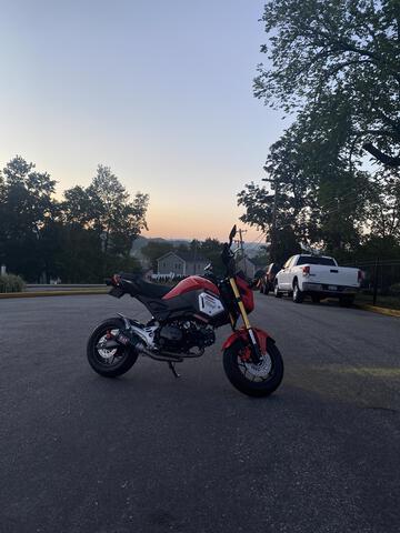 Honda Grom Abs For Sale In Westchester County Airport Ny 4600 Rumbleon